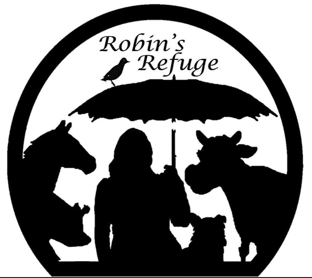 RUFFLE DOLMAN TEE FLORAL CHICKEN